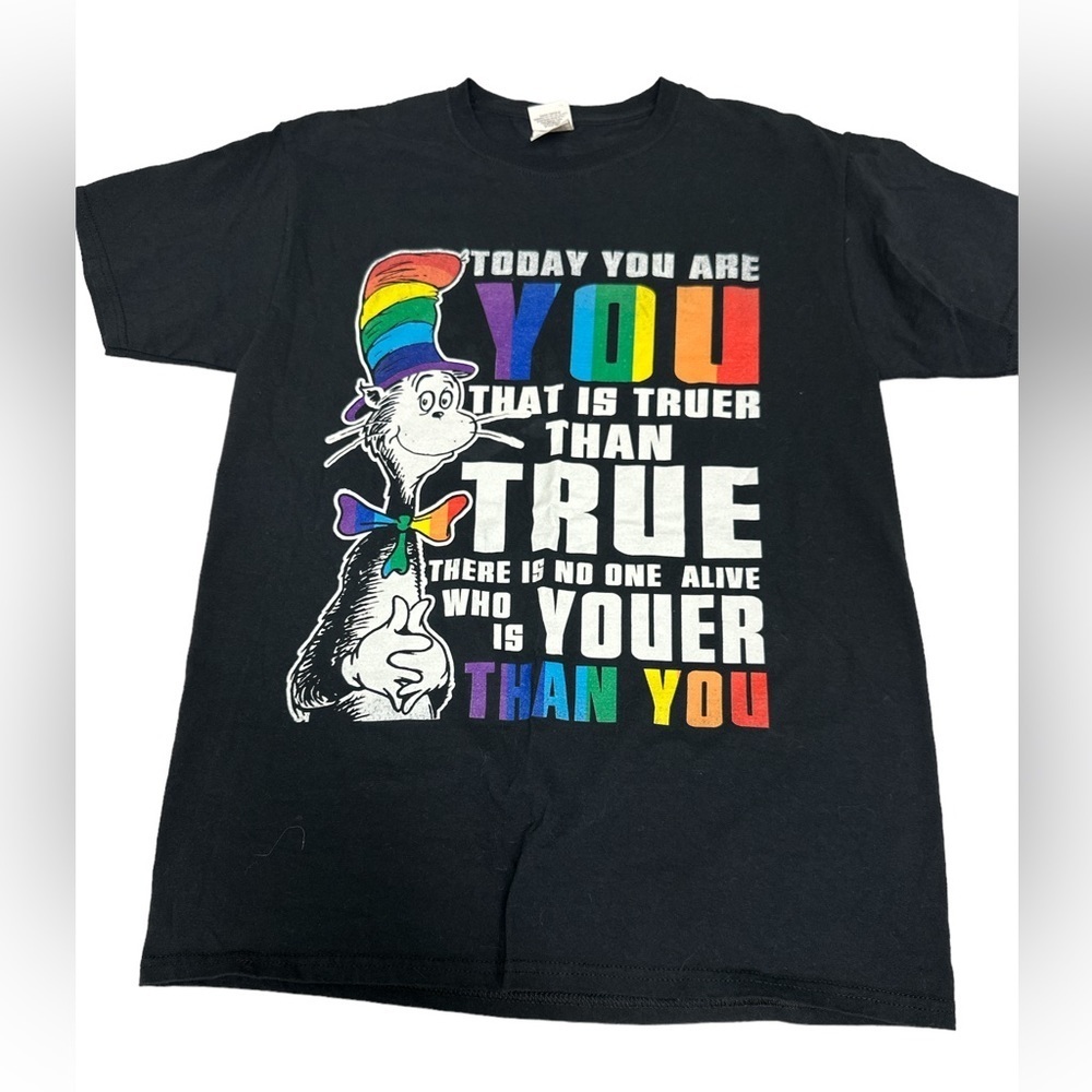 Fruit Of The Loom Cat In The Hat Pride Tee Shirt Medium, In Black
